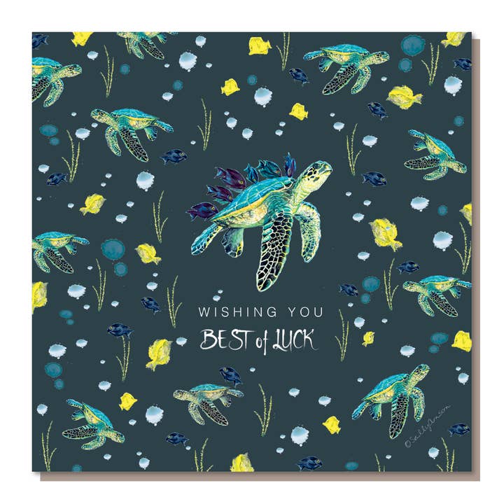 DD008 - Tartarugas 'O melhor da sorte' por atacado de Sweet Design