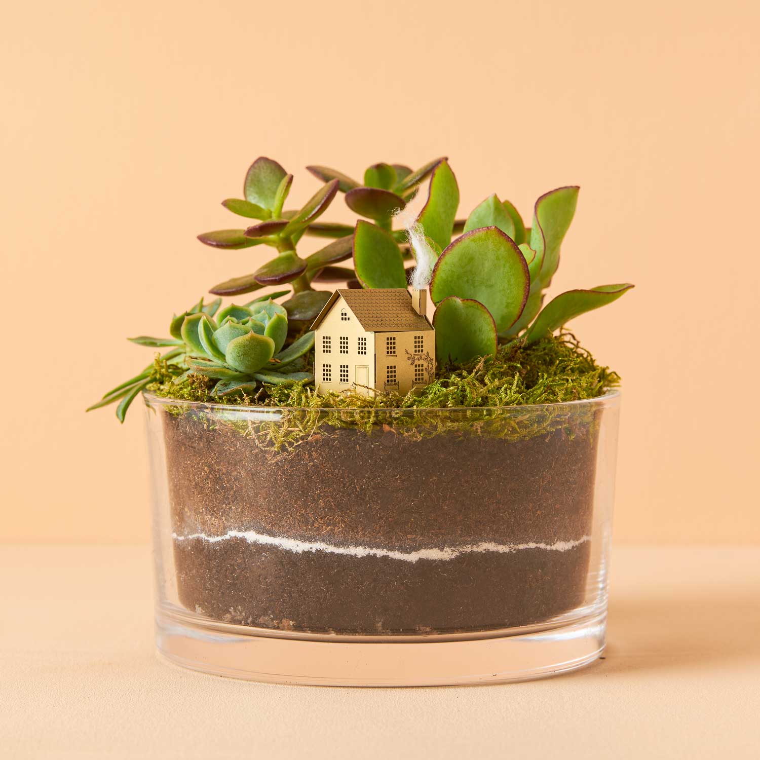 Another Studio UK - Wholesale DIY Craft Kit - Mini Model House, Brass Terrarium Decor, Diy Crafting Kit
