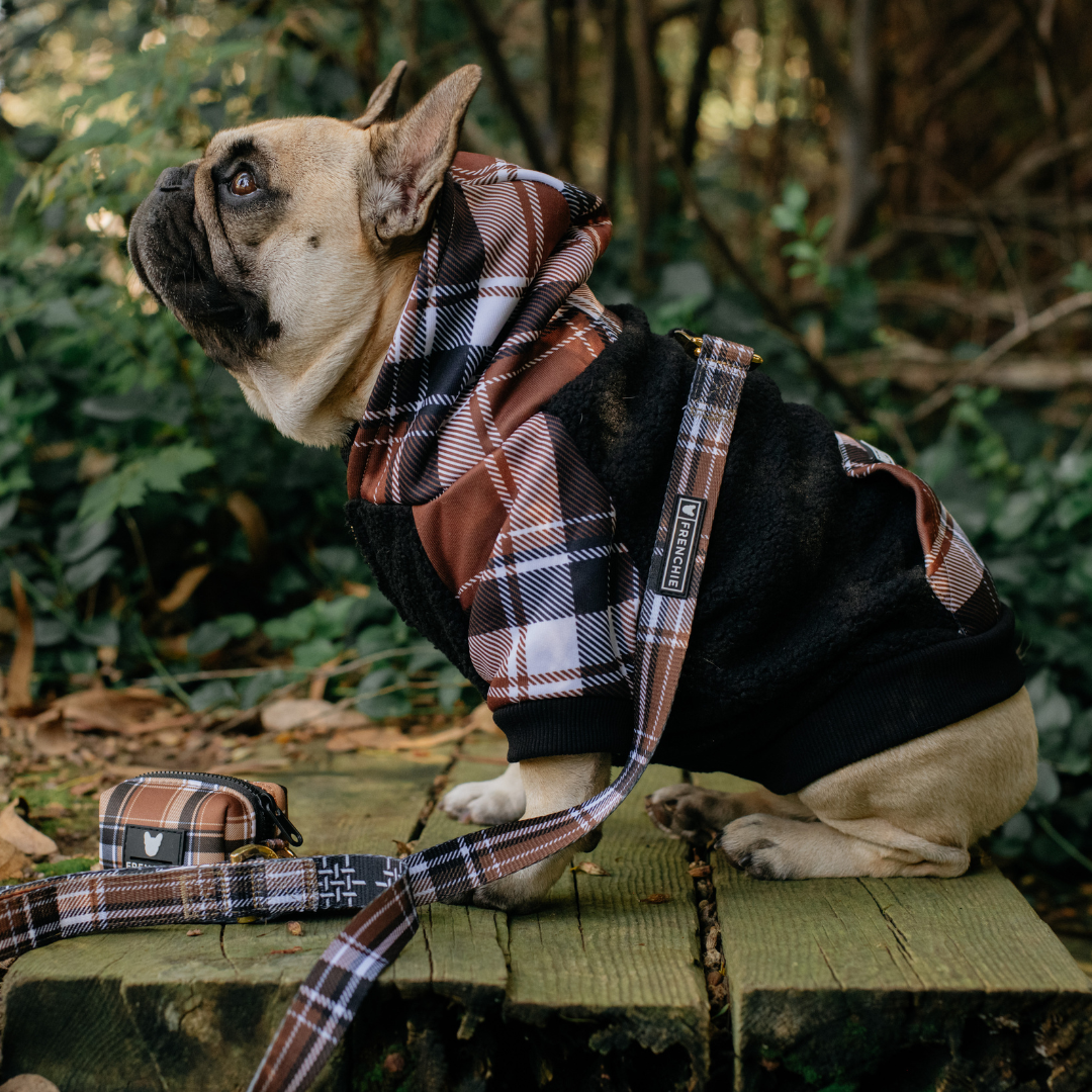 Frenchie - Wholesale Pet Hoodie - Dog - Frenchie Dog Hoodie - Cocoa Plaid15