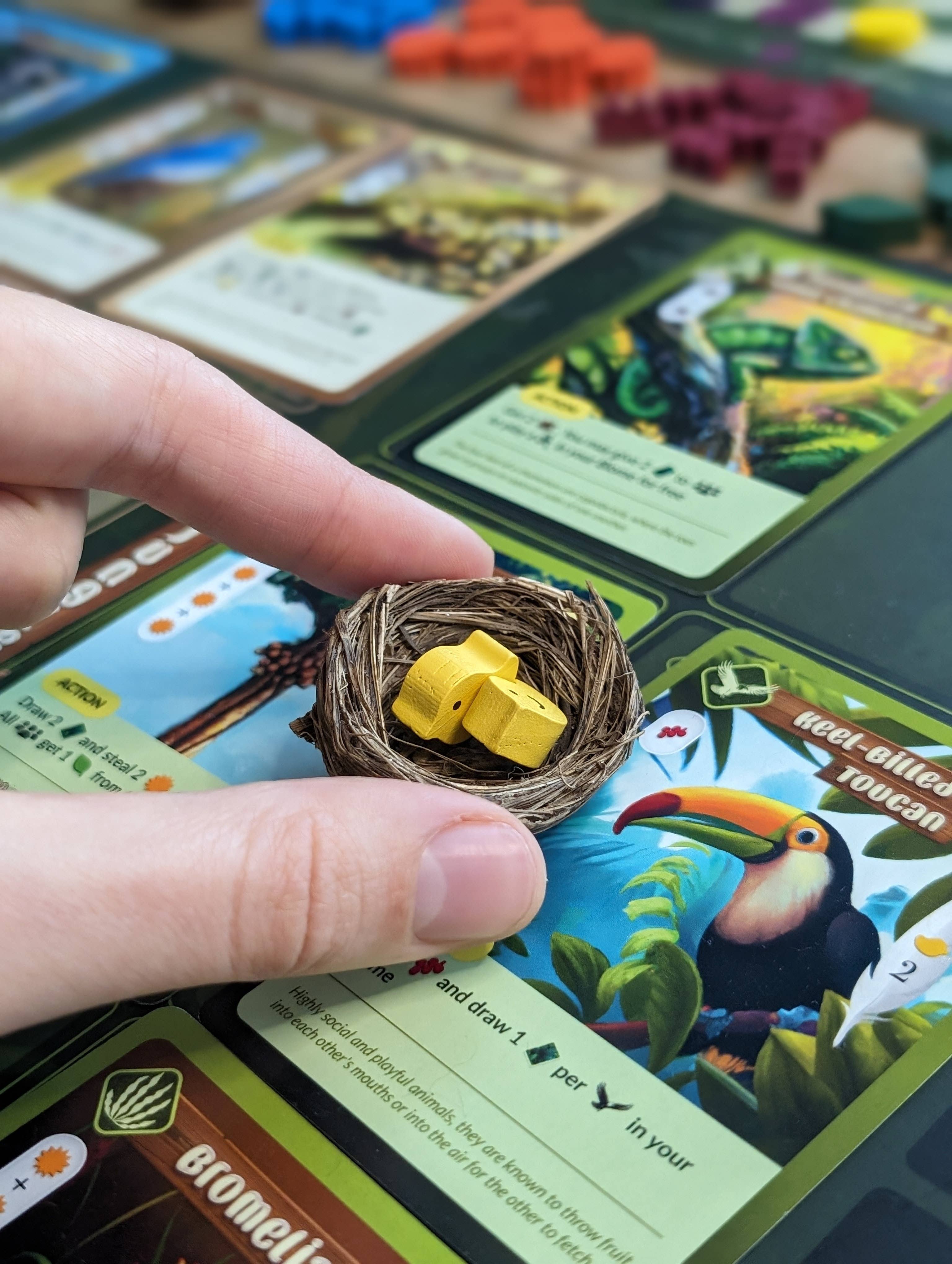 Bridge Distribution - Wholesale Board Game - Biome 2nd Edition MSRP3