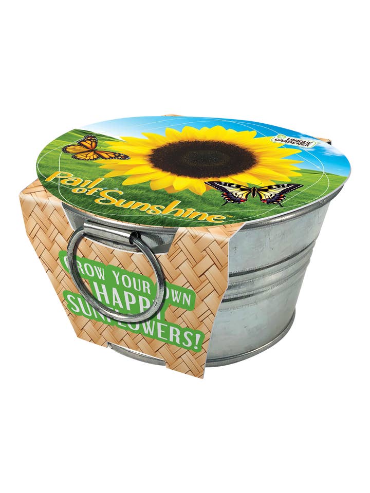 Seau de soleil - Cultivez vos propres tournesols d'automne pour la vente par Silver Circle Products
