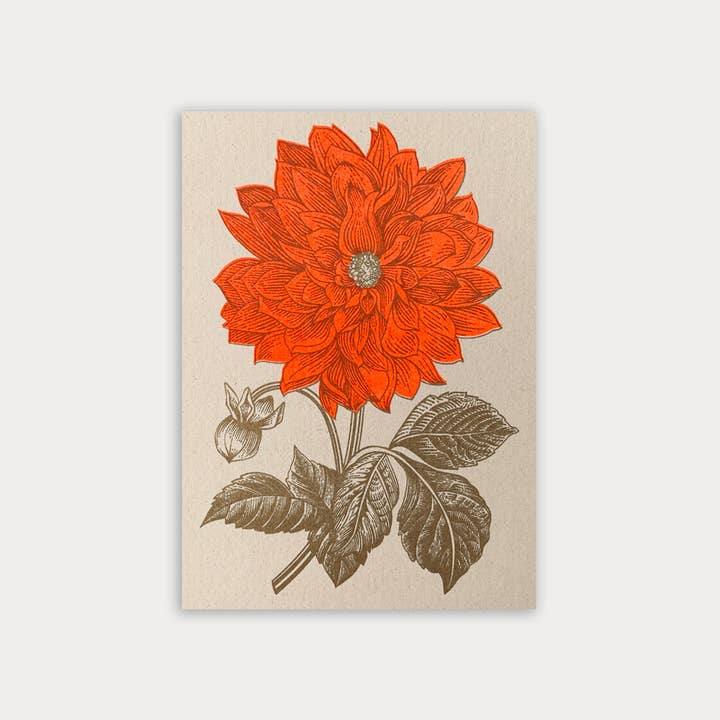 Postcard / Dahlia / Risograph for wholesale by Togethery