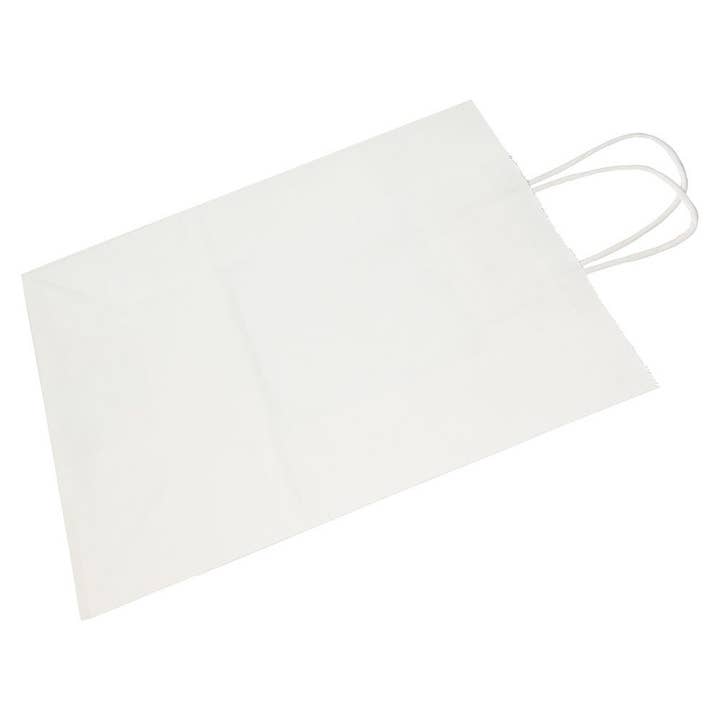 JAM PAPER - Wholesale Gift Bag - Large Kraft GiftBags, 10x13.25x5, White, 1PK3