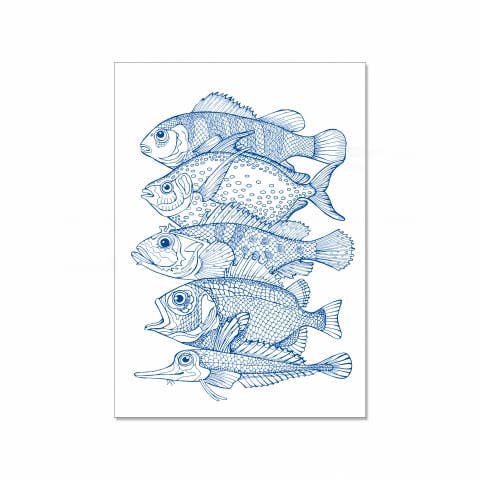 17;30 – wholesale Postcard – postcard up, 5 FISH0