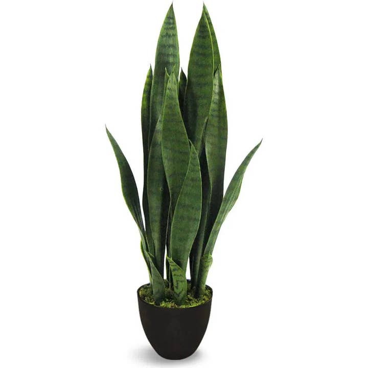 LOOMLAN - Wholesale Kunstplant - Kunstmatige Botanische Buiten Groene Sansevieria