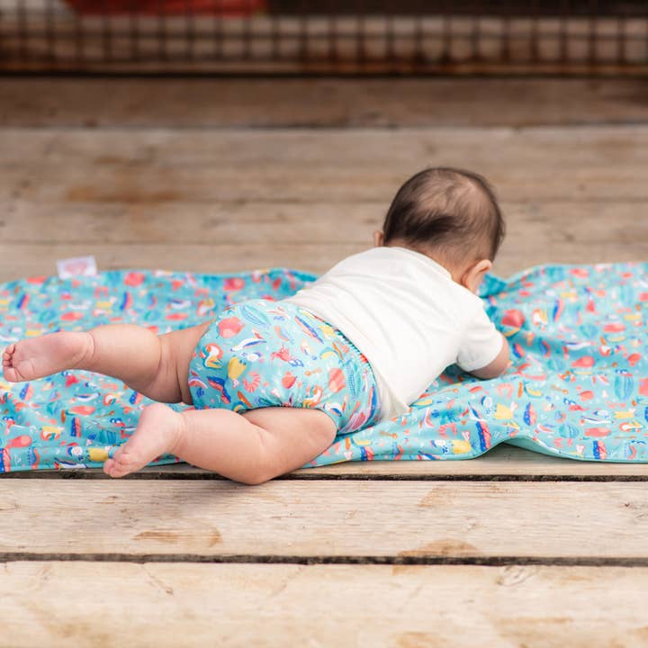 Monarch - Wholesale Nappy (cloth) – Baby - Ultimate Wipeable Cloth Nappy V3.0 | Ellie Whittaker - Big Things1