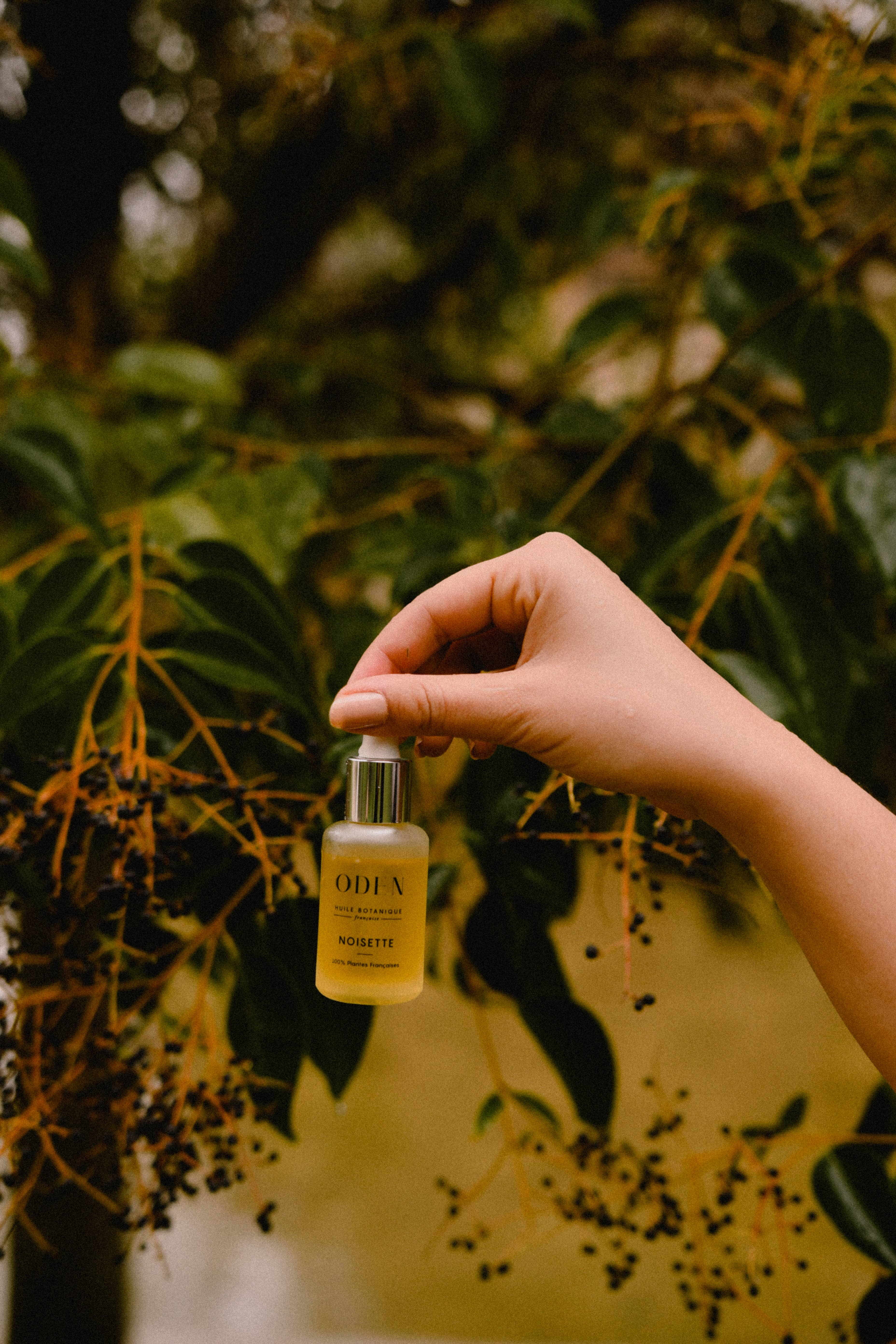 ODEN - Wholesale Facial Oil - Hazelnut Face Oil – Regulating & Balancing for Combination Skin