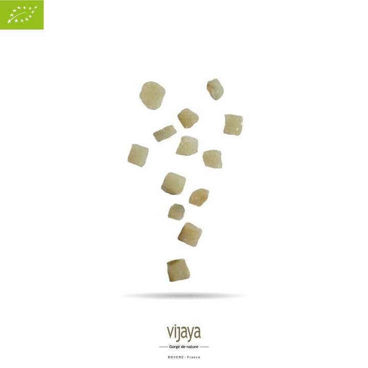 VIJAYA - SAS J.L. BOYERE - Wholesale Dried/Dehydrated Fruit - Candied Lemon Peel - Cubes - 125g - 4 mm - Organic*1