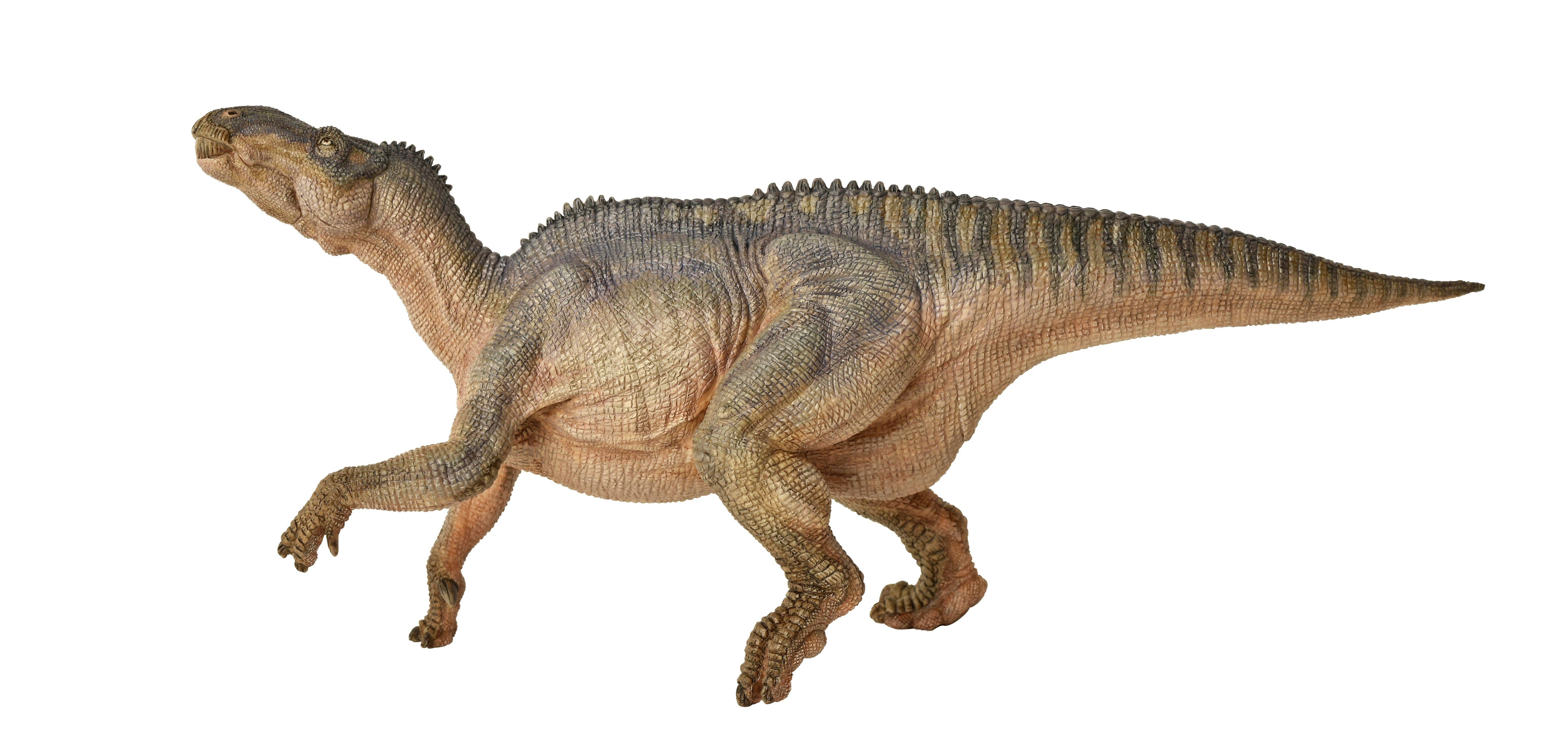 Papo - Wholesale Figurine Toy - Kids - Iguanodon1