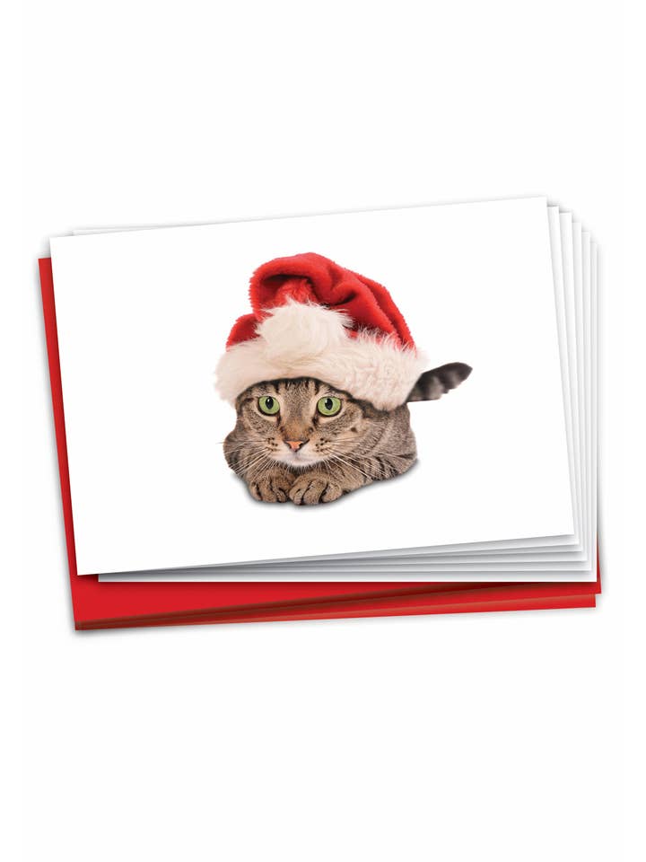 Box of 12 Christmas Card - Santa Cats for wholesale by NobleWorks