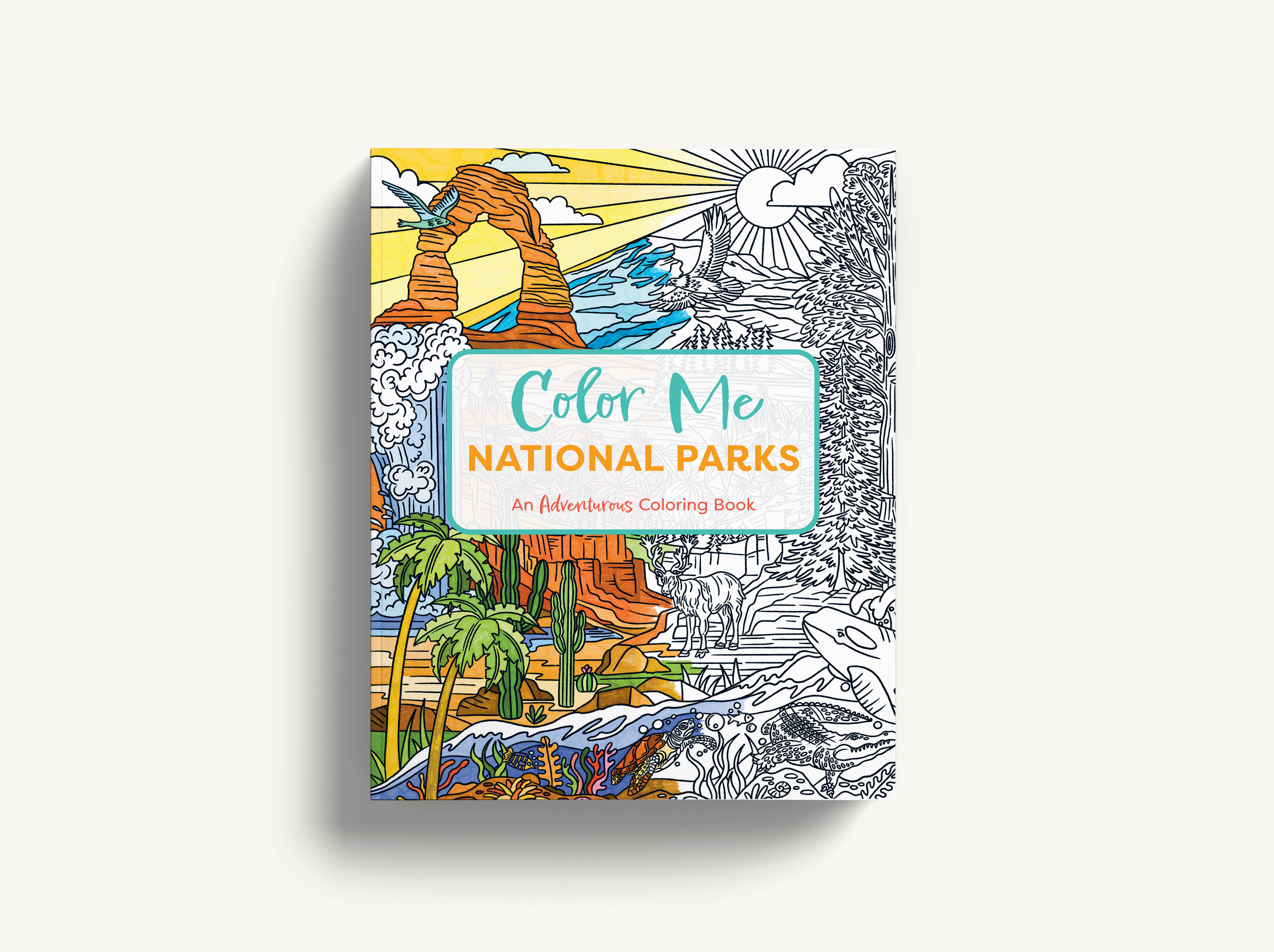 HarperCollins Focus - Wholesale Coloring & Activity Book - Adult - Color Me National Parks: An Adventurous Coloring Book1