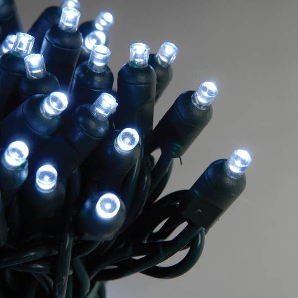 Studio Specialties - Wholesale String Lights - LED 50 EXT CONCAVE 6" PURE-WHT/GRN E-T-E0