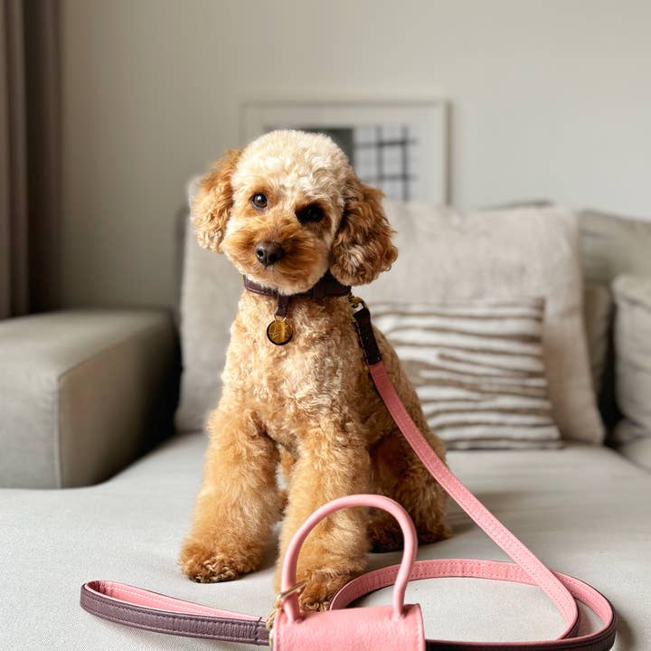 The Dog Musthaves - Wholesale Pet Treat Bag - Dog - The Dog Musthaves Two Tone – Blush Bag2