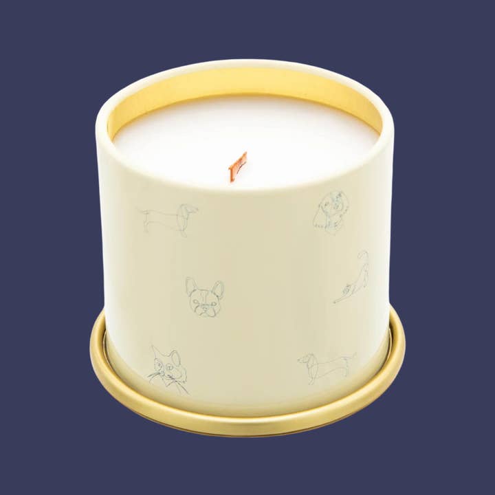 Companion Candles - Wholesale Pet Deodorizing Spray - Spicy Amber & Floral Coconut-Soy Scented Candle (Pet-Safe)4