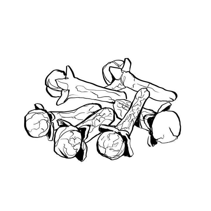 Essences Naturelles Corses - Wholesale Essential Oil - Synergy - Soothing - Relaxing - Aromatherapy - 10ml7