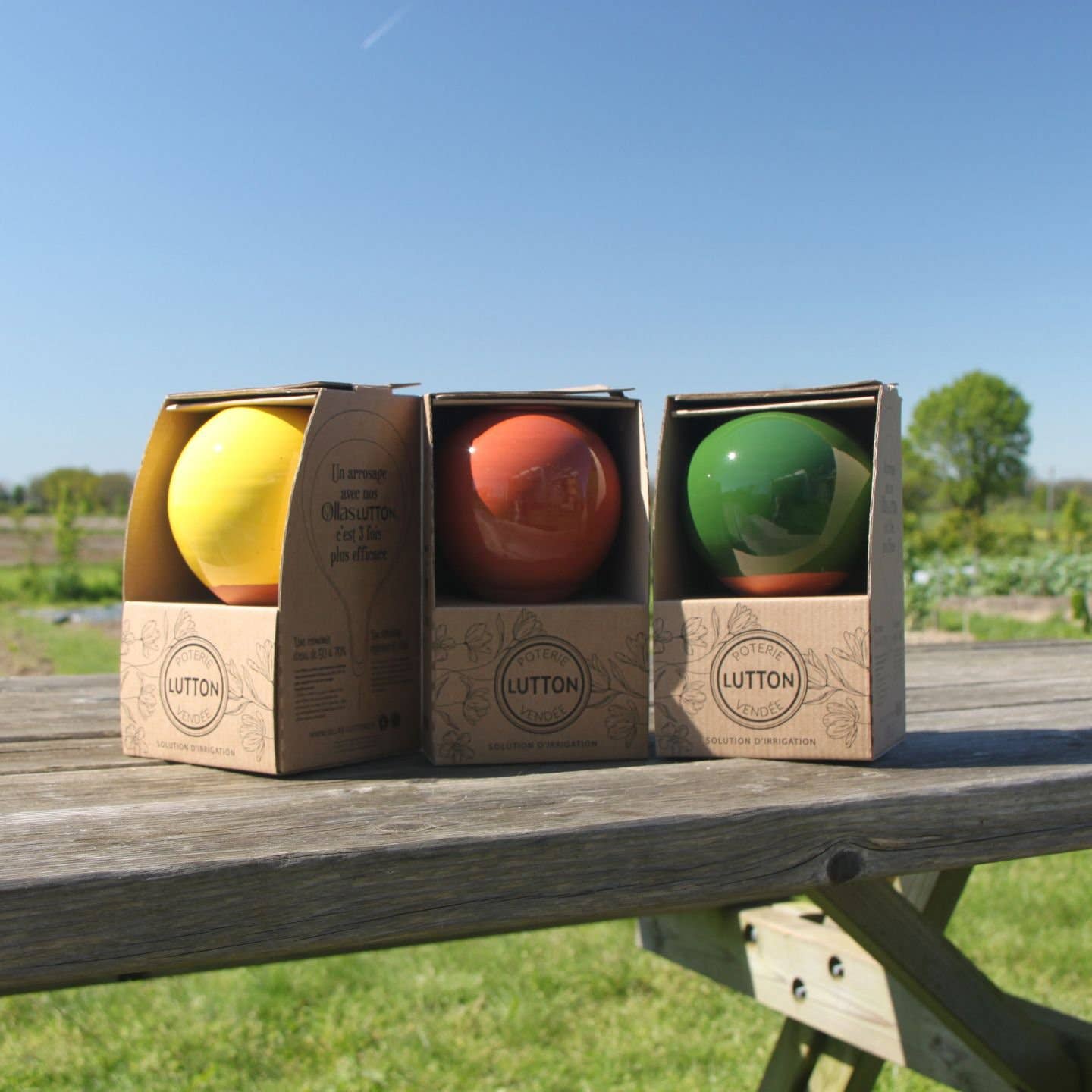 Poterie lutton - Wholesale Plant Pot - Ollas to plant medium3