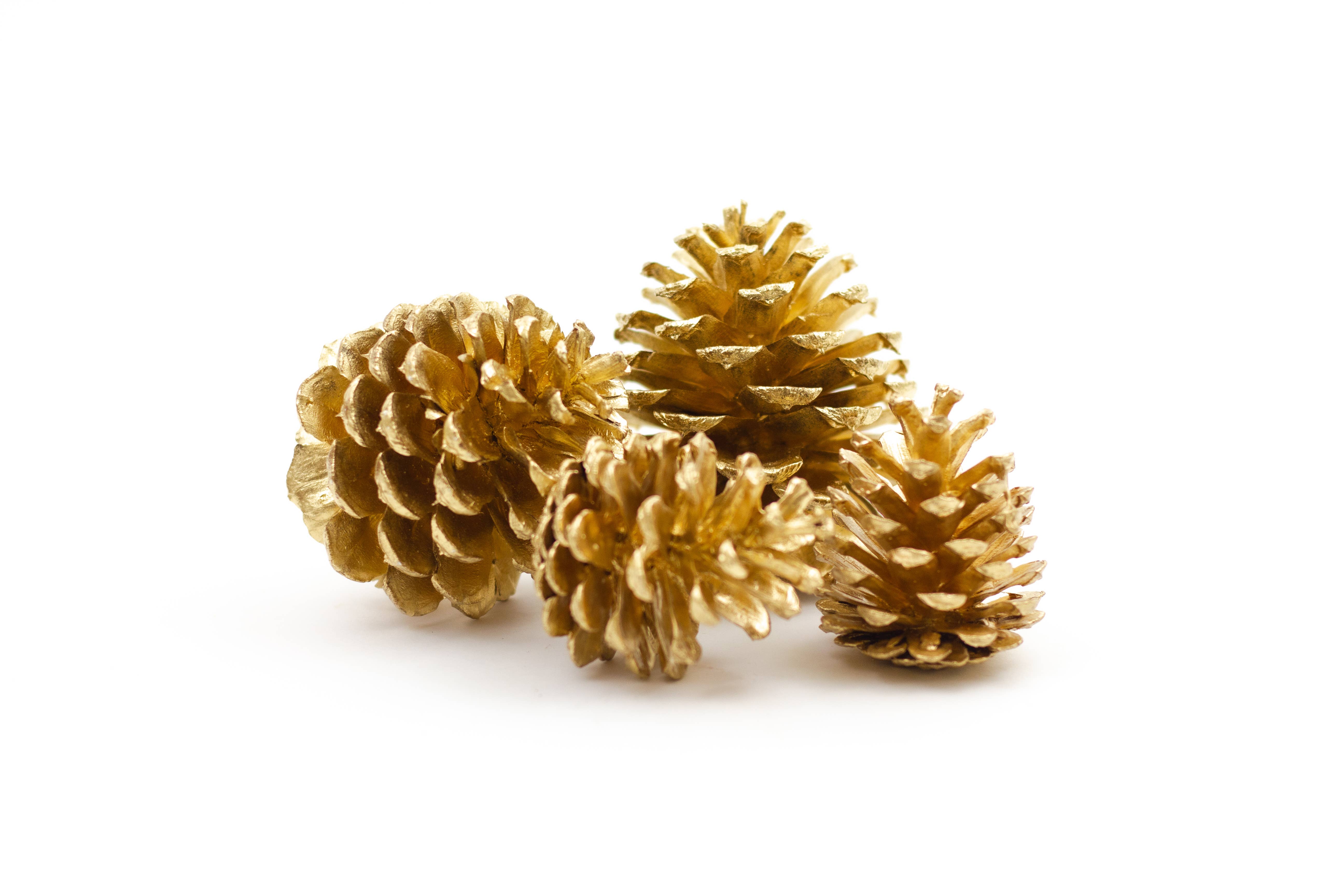 Winter Woods - Wholesale Decorative Tabletop Object - Ponderosa Pine Cones0