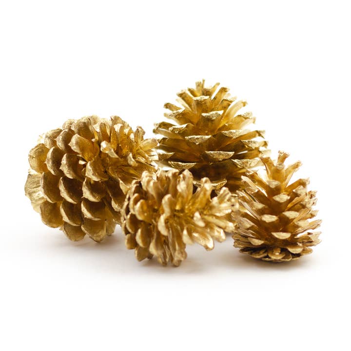 Winter Woods - Wholesale Decorative Tabletop Object - Ponderosa Pine Cones