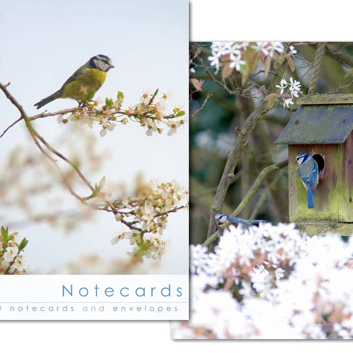 Notecard Wallet - Blue Tits (10 cards) for wholesale by Leonard Smith