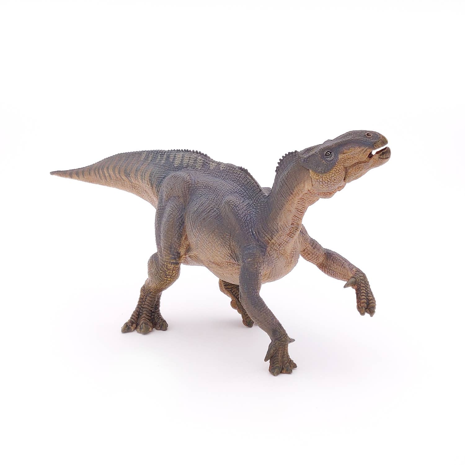 Papo - Wholesale Figurine Toy - Kids - Iguanodon4