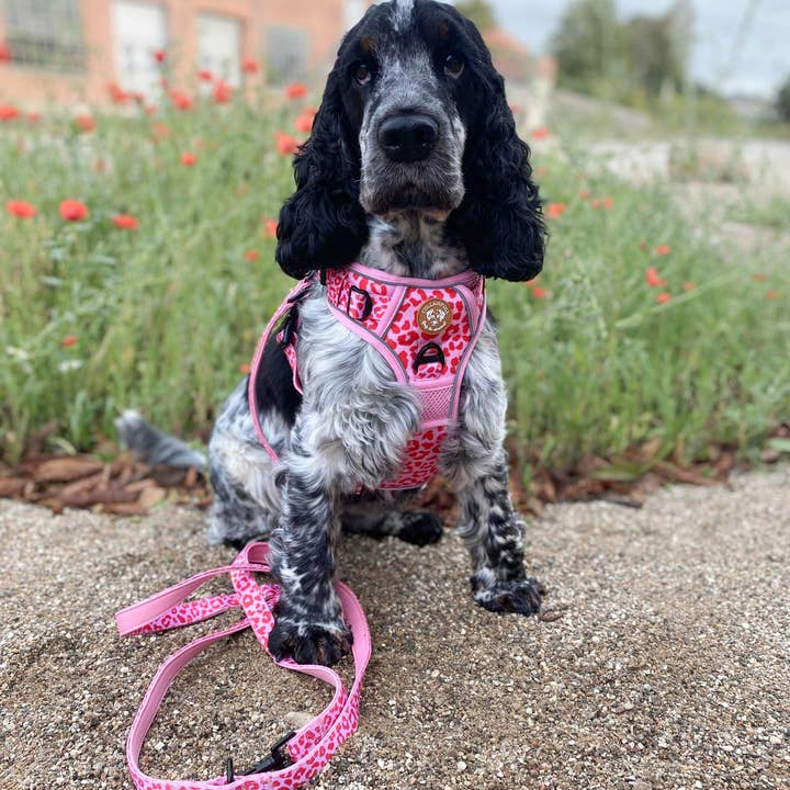 Collarfull - Wholesale Pet Collar - Dog - Adjustable Dog Leash - Pink Panther1