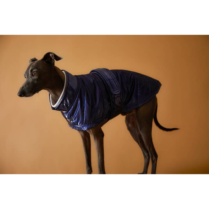 The Striped Dog – Engroshandel Hundejakke - Hund – Italiensk Greyhound/Whippet Blå Vandtæt Turtleneck Jakke RUE1