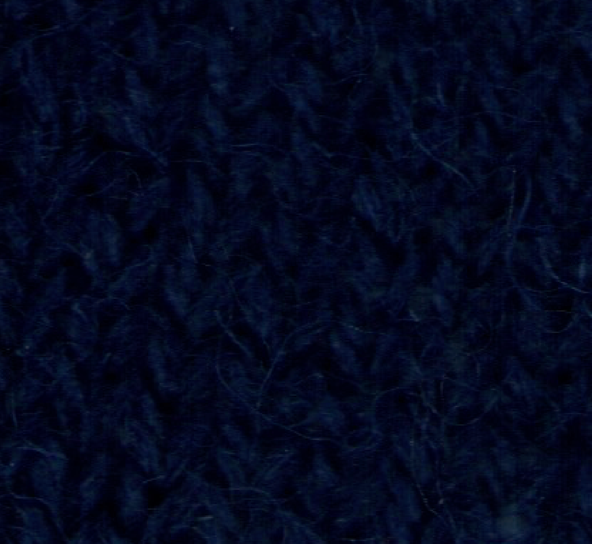 Lèmme – wholesale Pullovertröja - Dam – Överdimensionerad pullover med rund hals i extra fin merinoull6