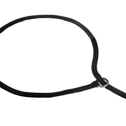 Alvalley – wholesale Halsband - Hund – Alvalley halsband med löpande ögla för utställning2