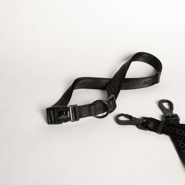 Cavology - Vente Laisse – chien - LAISSE MAINS LIBRES POUR CHIEN EN VINYLE, DEUX PIÈCES, MULTIVOIES, NOIRE4