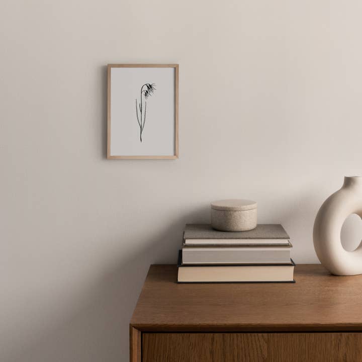 monocotylédone - Wholesale Everyday Greeting Card - Alpine Paturin - Double Card and Kraft Envelope3