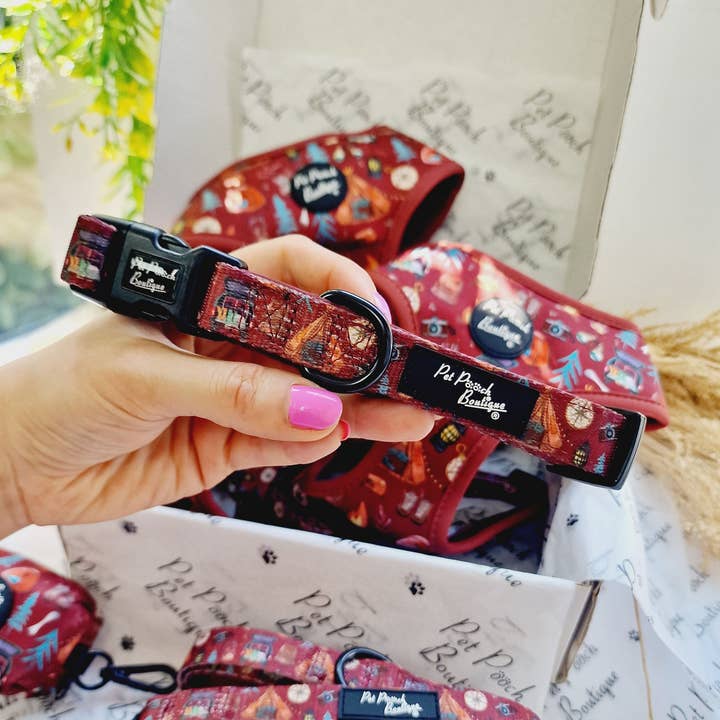 Pet Pooch Boutique - Wholesale Pet Collar - Dog - Great Adventure Puppy or Dog Collar