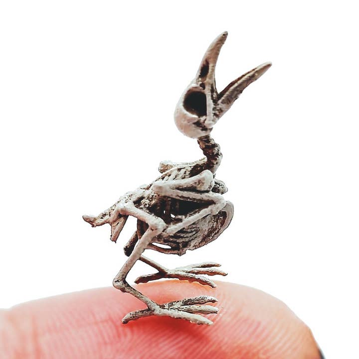 The Scale Grail - Wholesale Decorative Figurine - Raven Skeleton Replica0