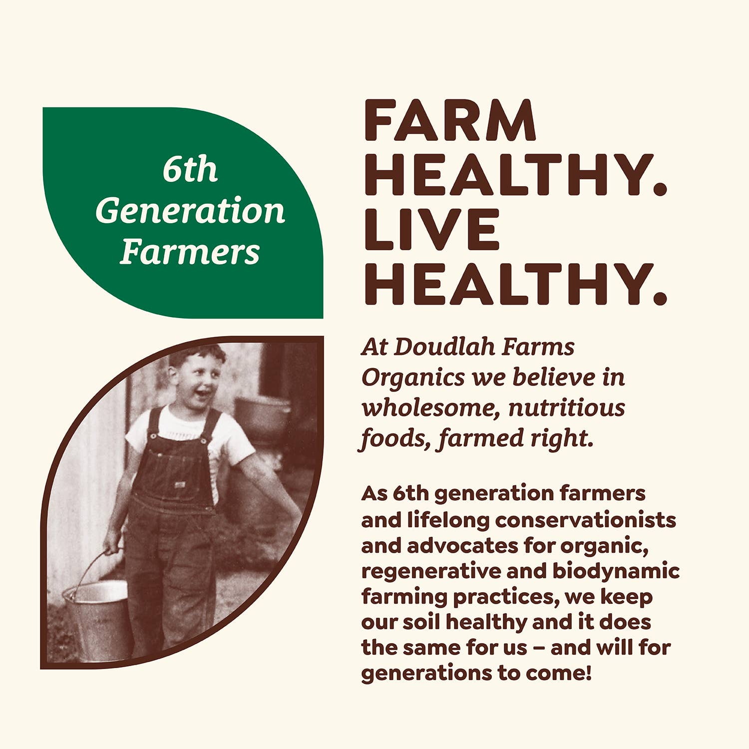 Doudlah Farms Organics – wholesale Cornmeal – Organic Yellow Cornmeal6