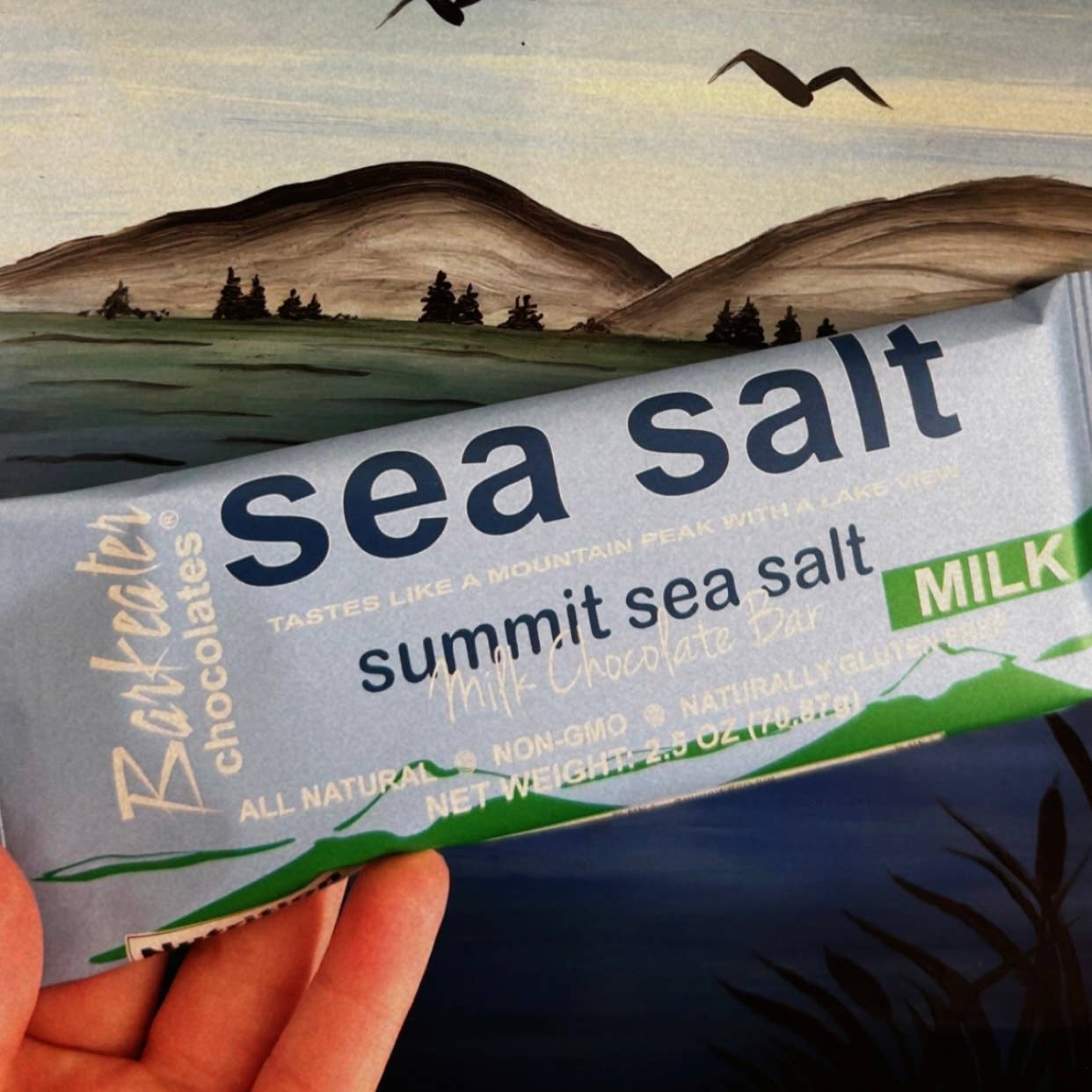 Barkeater Chocolates - Vente Barre chocolatée - Tablette de Chocolat au Lait et Sel Marin Summit1