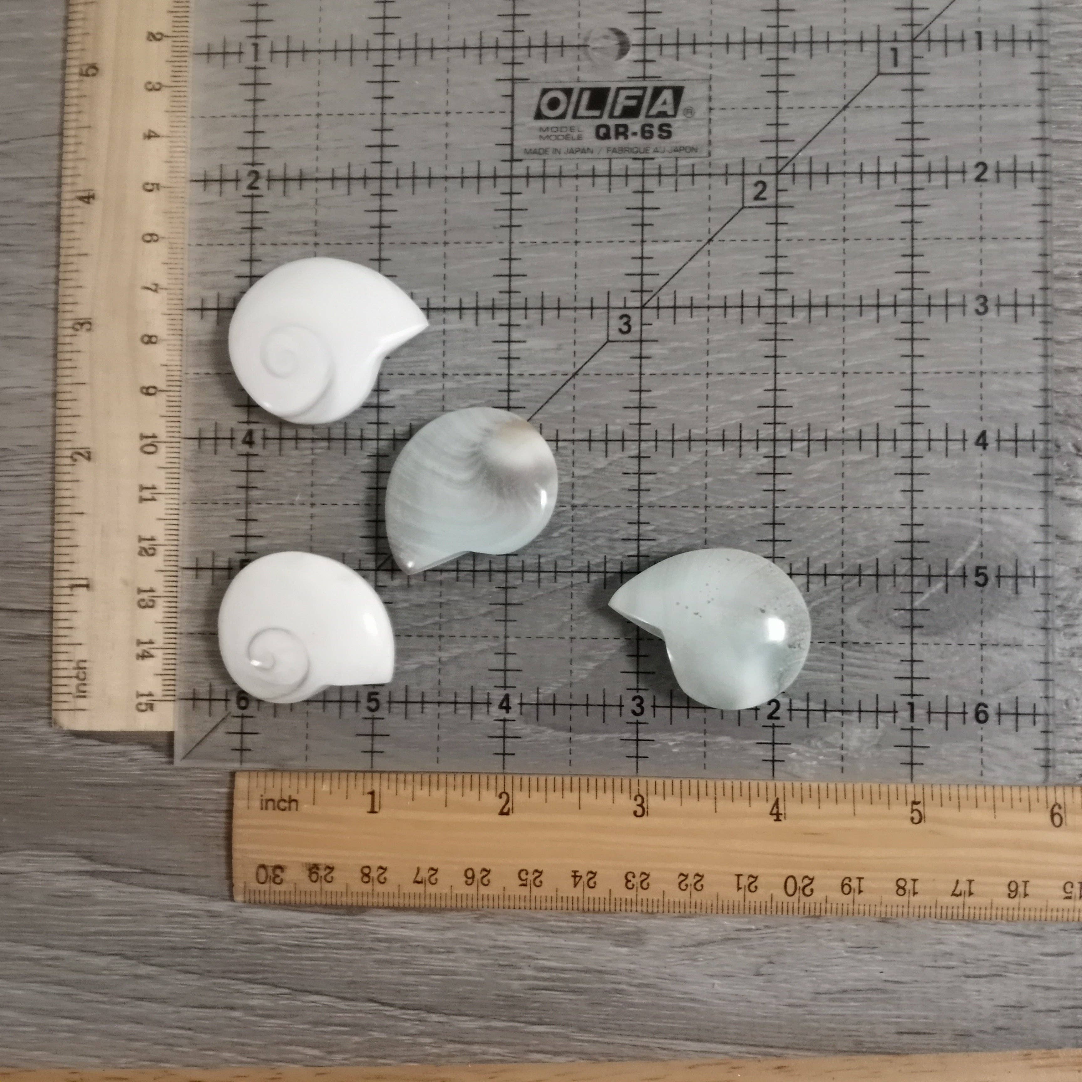 Keystone Crystals - Wholesale Spiritual Stone/Crystal - Shiva Shell Ammonite Shaped3