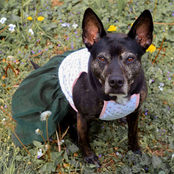 Midlee Designs - Wholesale Pet Dress - Dog - Midlee Pink Rose Tutu Large Dog Dress