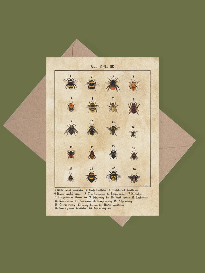 Api del Regno Unito cartolina di auguri riciclata per la vendita all'ingrosso da parte di Holly Sweet illustration