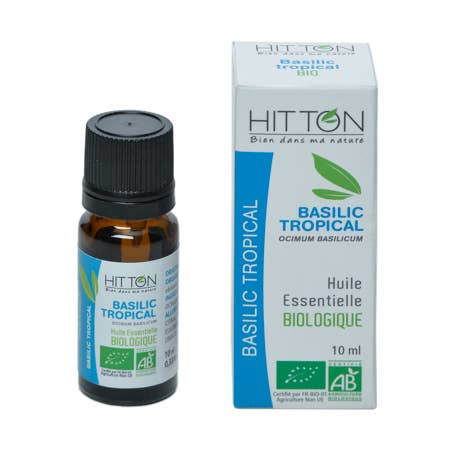 Organic basil essential oil - 10ml for wholesale by Hitton