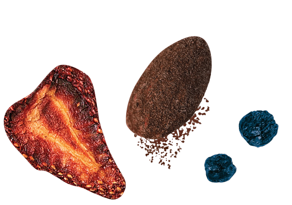 RIND Small Batch LLC - Wholesale Trail Mix - Cocoa Berry REMIX, Snack Mix - 3.5oz2