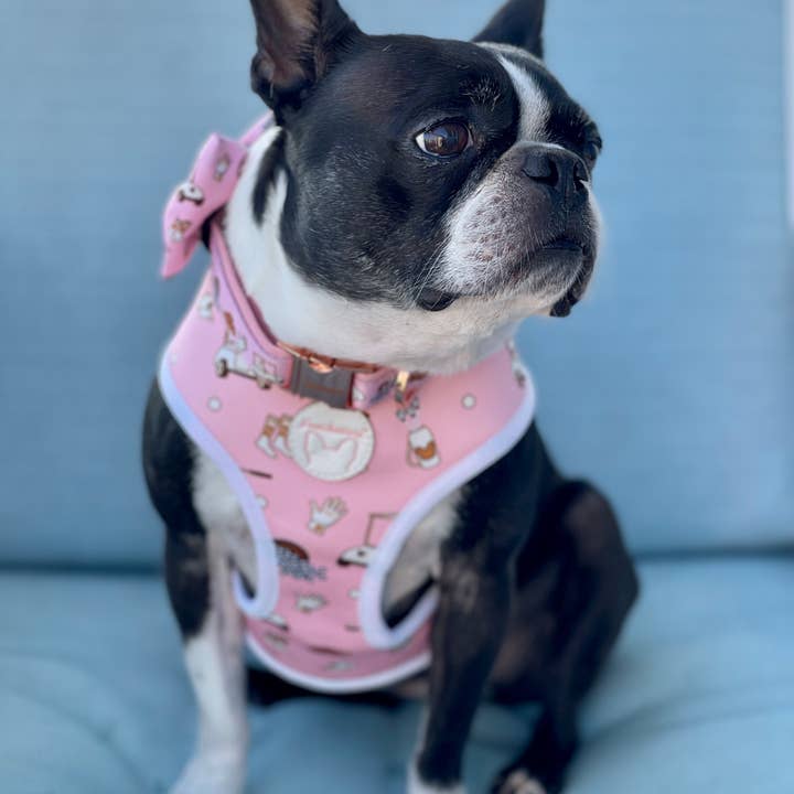 Frenchiestore - Wholesale Pet Collar - Dog - Pet Dog Breakaway Collar | Golf
