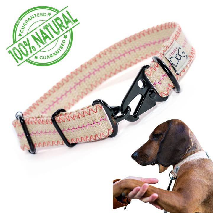 FUNKY DOG – wholesale Halsband - Hund – Hampahundhalsband Miljövänligt, Hållbart, Andningsbart