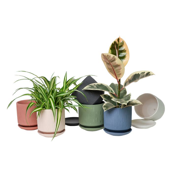 Chive - Wholesale Plant Pot - Handmade Ceramic Virago Pots | Artisan Plant Planters23