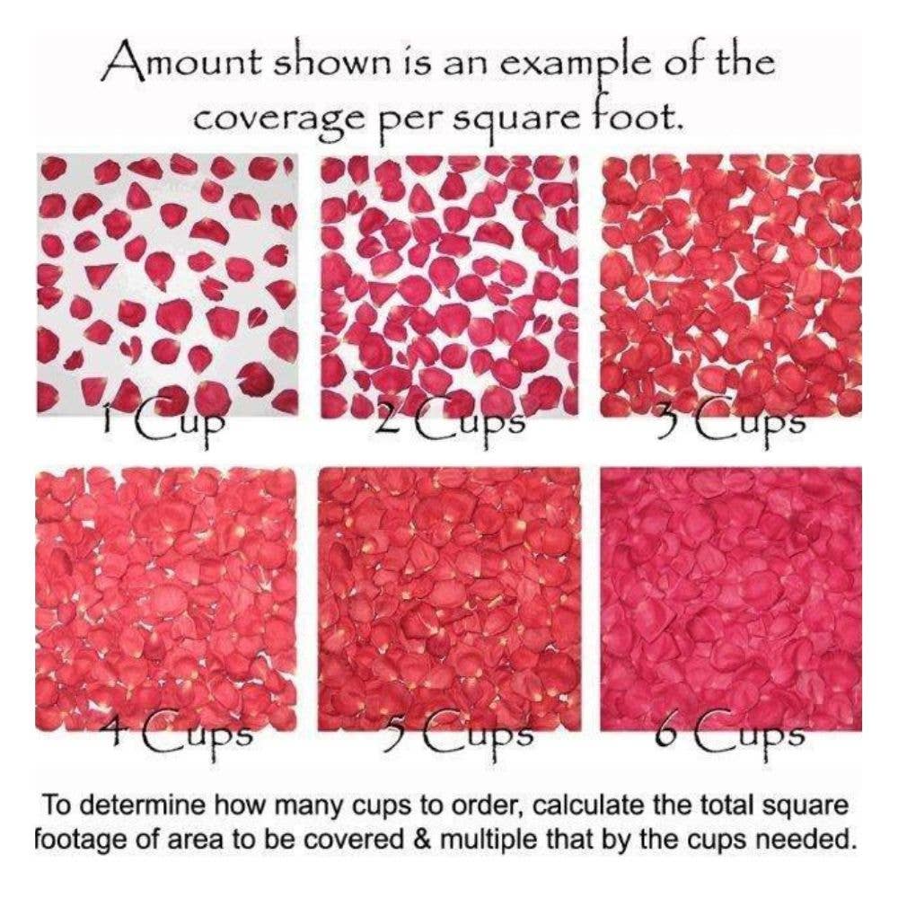 Flyboy Naturals Rose Petals - Wholesale Dried/pressed flowers - Bridal White/Ivory Freeze-Dried Rose Petals 30 Cups USA21