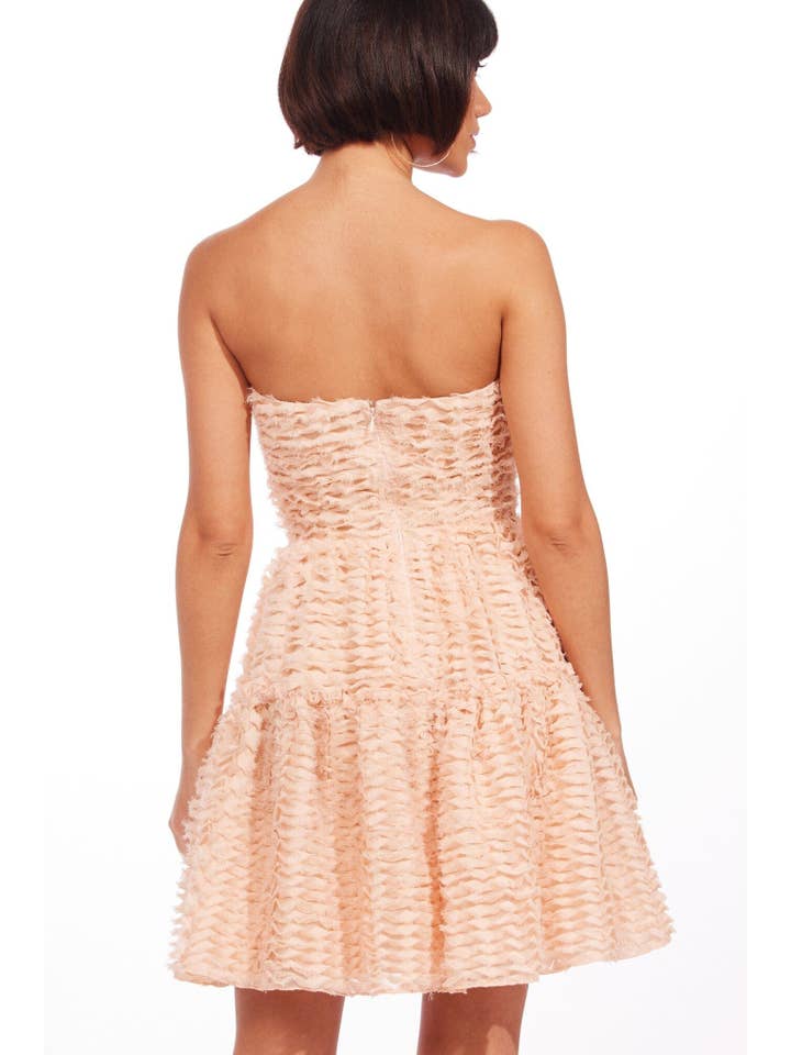 Eva Franco - Wholesale Dress - Women's - Cossette Dress8