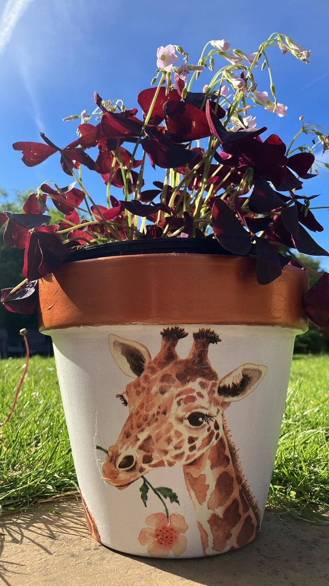 KCK Gifts - Vente Pot - Pot de fleurs découpé8