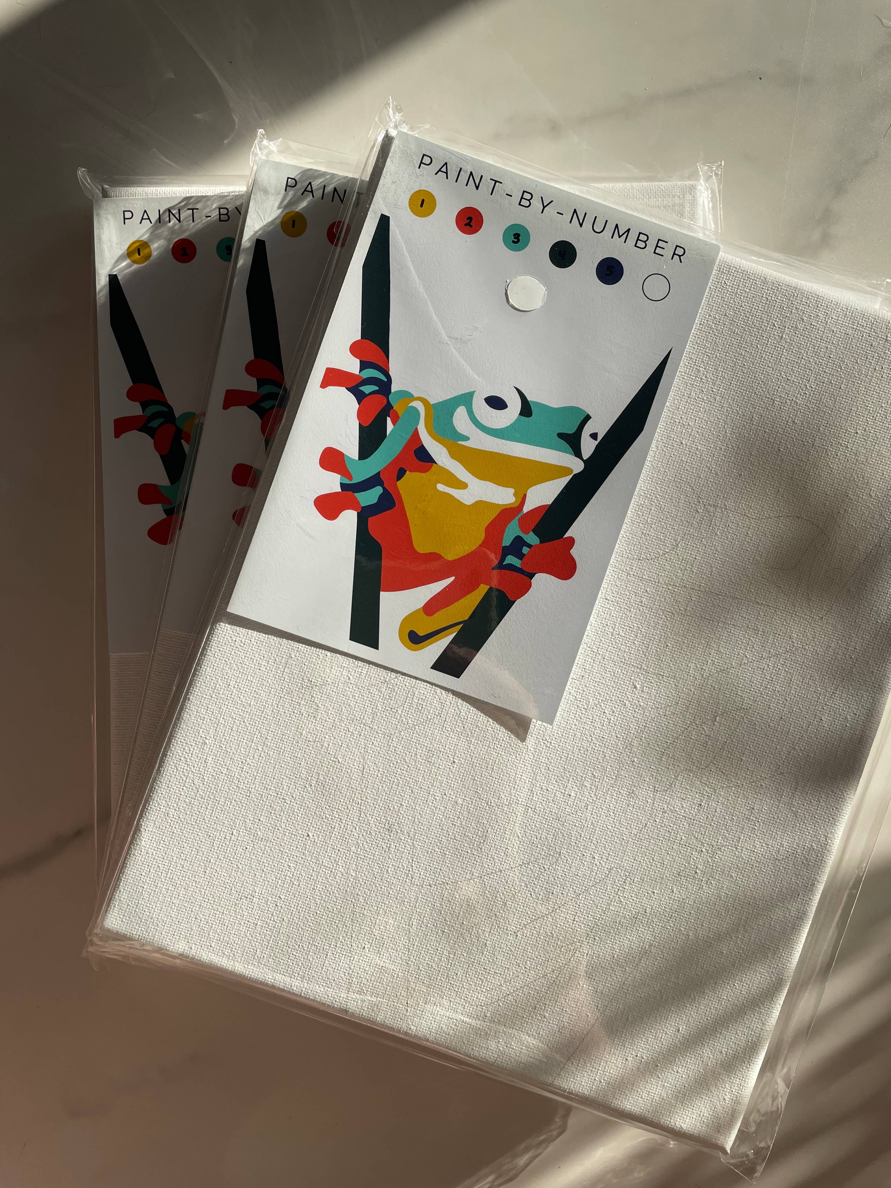 Fundenberger Studio - Wholesale DIY Craft Kit - Frog Paint-By-Number2