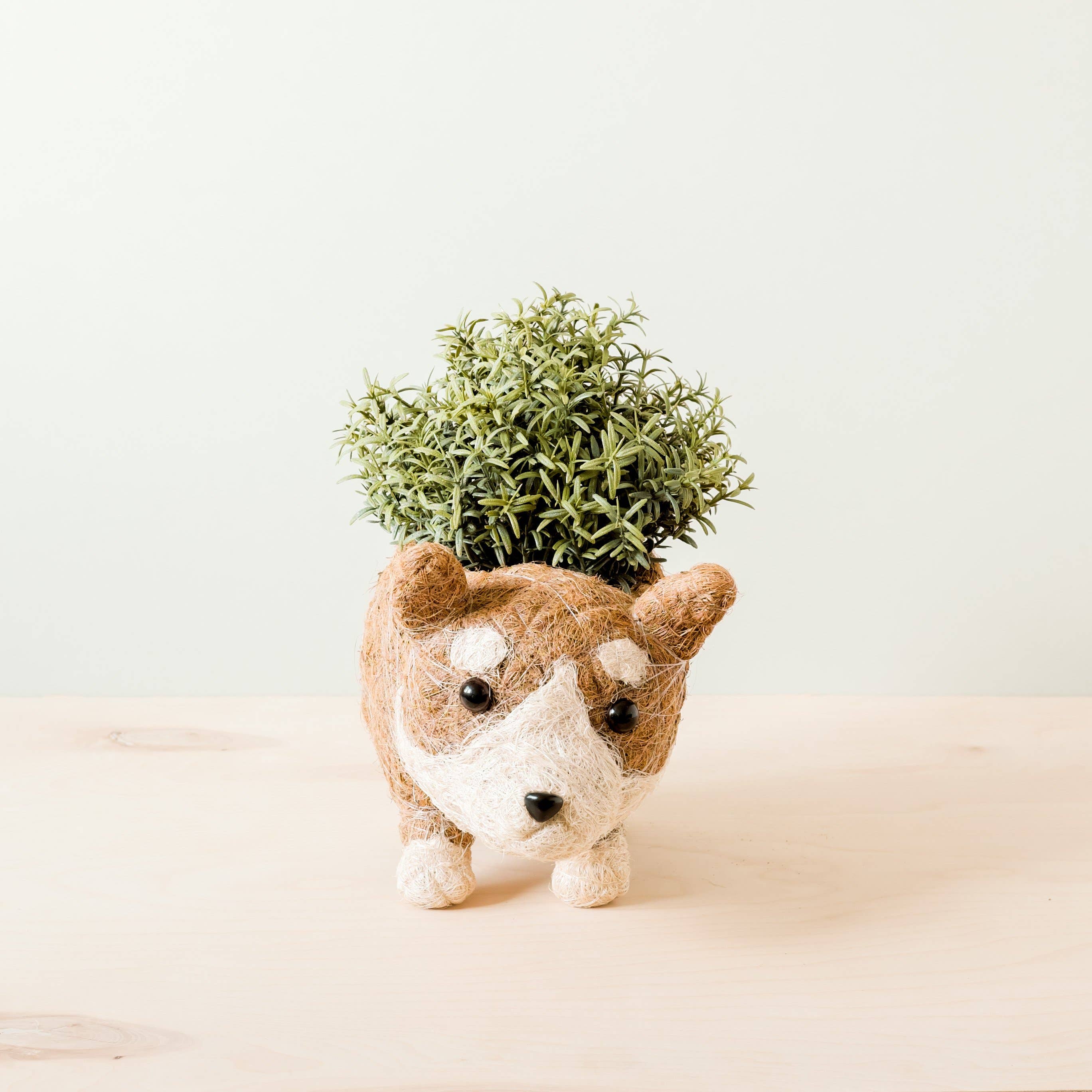 LIKHÂ – Vaso de plantas por atacado – Pote de Suculentas Corgi - Plantadores Artesanais | LIKHA