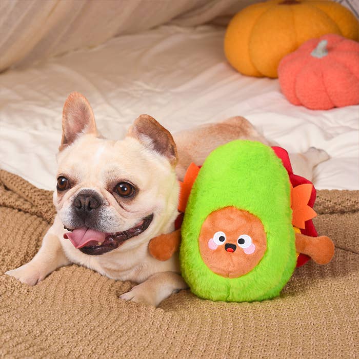 Hugsmart Products Inc - Vendita all'ingrosso Peluche - Cani - HugSmart Pet - Autumn Tailz | Turkey Avocado - Peluche per cani