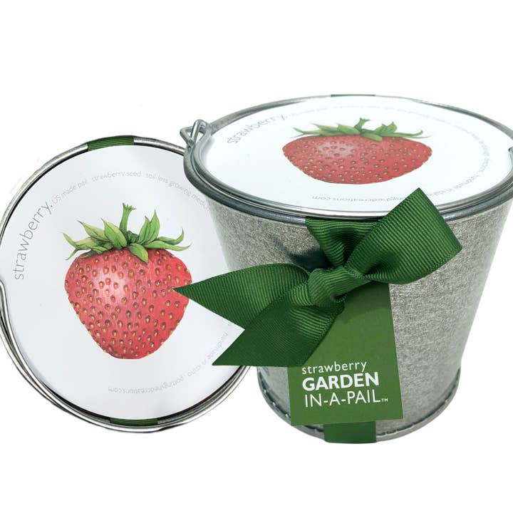 Garden in a Pail | Strawberry  for wholesale by Potting Shed Creations, Ltd.