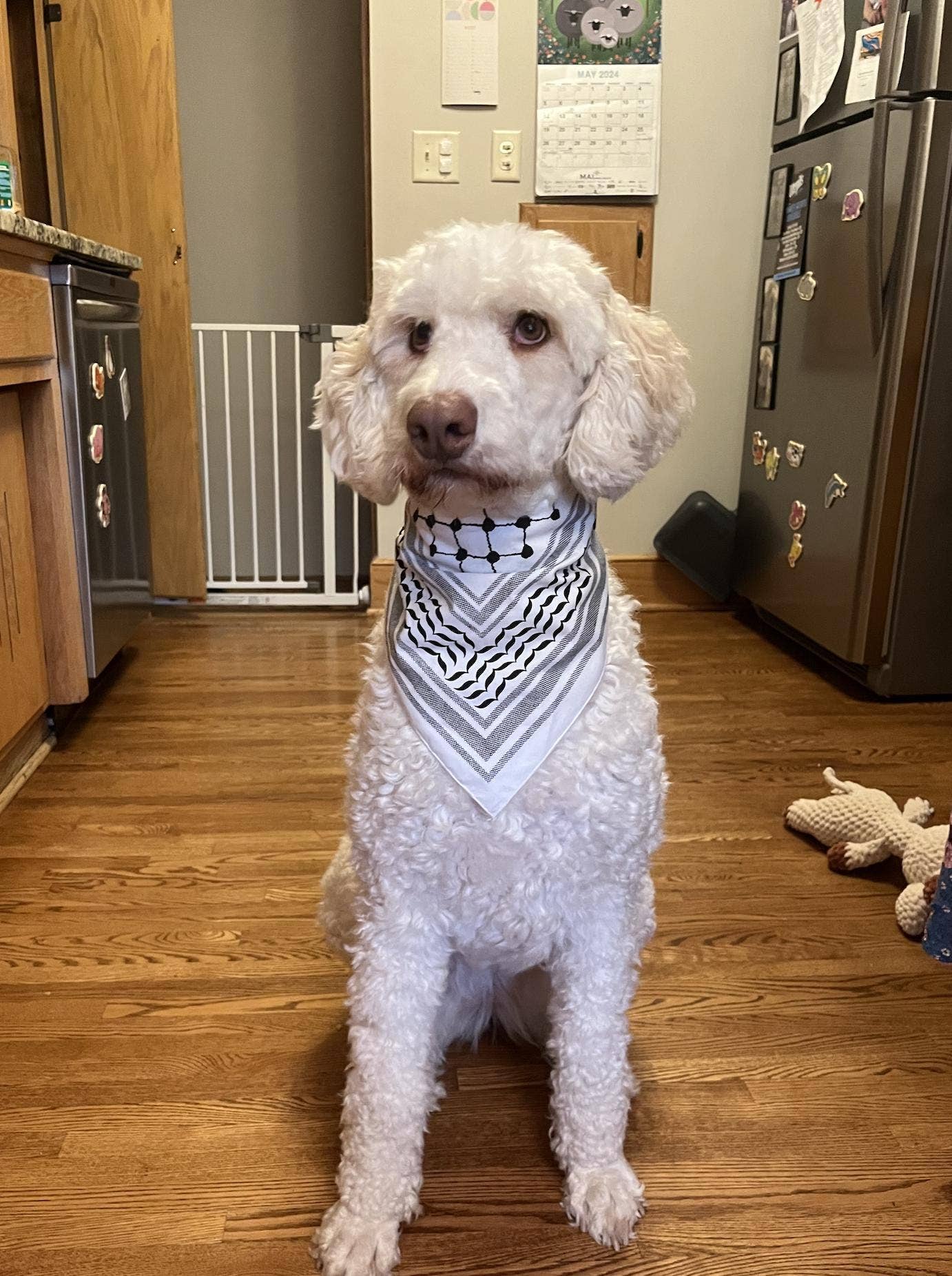 Stitch4pali - Wholesale Bandana - Women's - 100% Cotton Kuffiyah Bandana Palestinian Kuffiyeh design 1